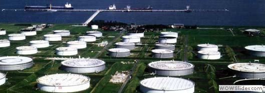 Local Content Local Content